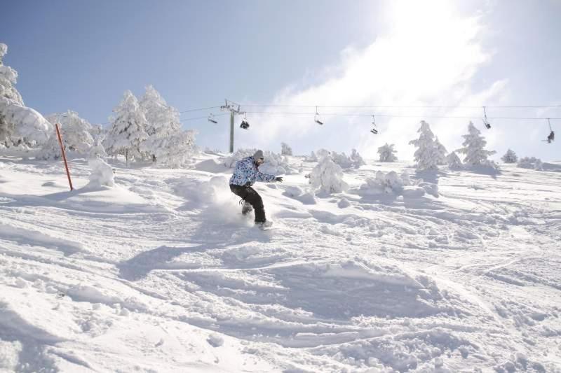 Ski & Nature Javalambre Camarena de la Sierra Εξωτερικό φωτογραφία